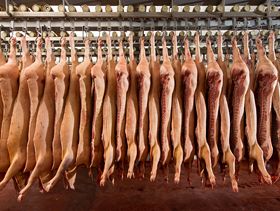 Producción, exportación, importación y consumo de carne porcina en 2024 en Latino América